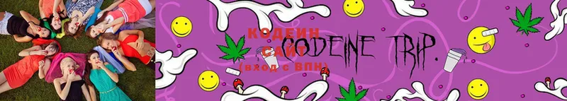 Codein Purple Drank  Калач 